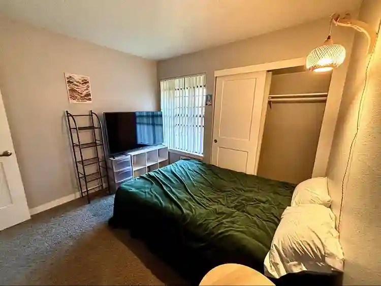 Seeking Roomie!