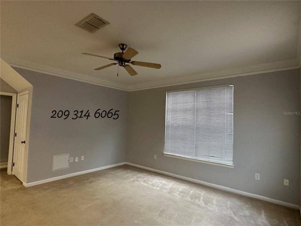 Welcome to Discovery Palms!