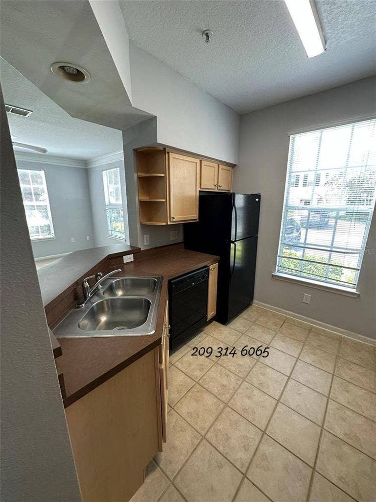 Welcome to Discovery Palms!