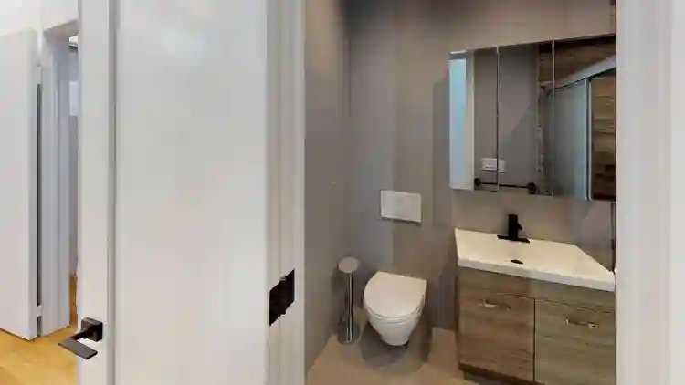 1 BR in Brooklyn