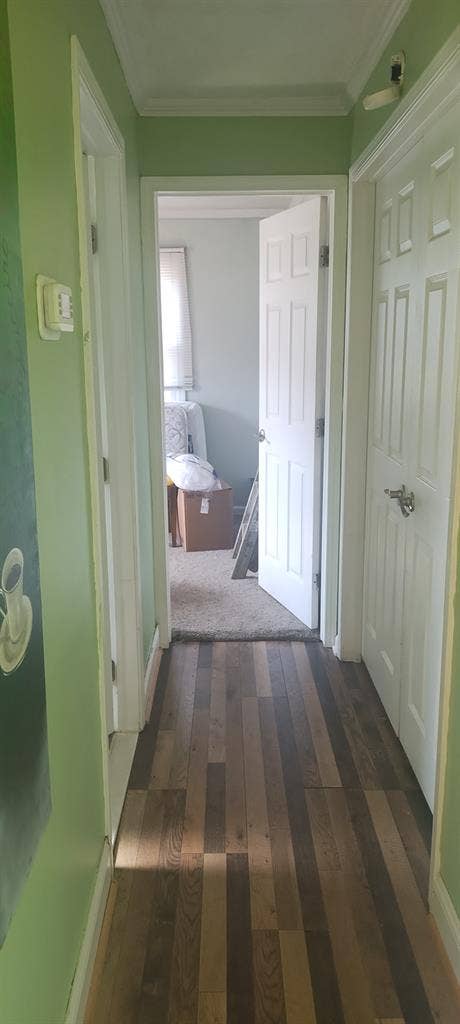 IN NEED OF ROOMATE