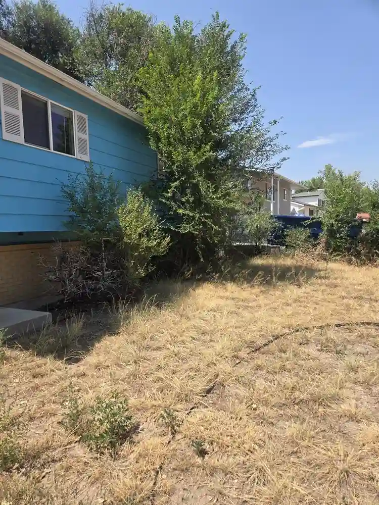 Entire house for rent in Fountain
