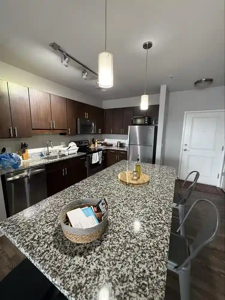 Room for Rent in Luxury Apartment