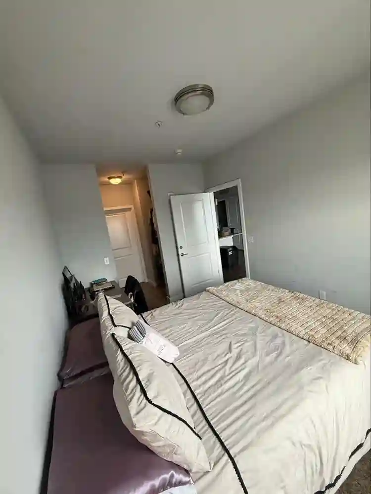 Room for Rent in Luxury Apartment