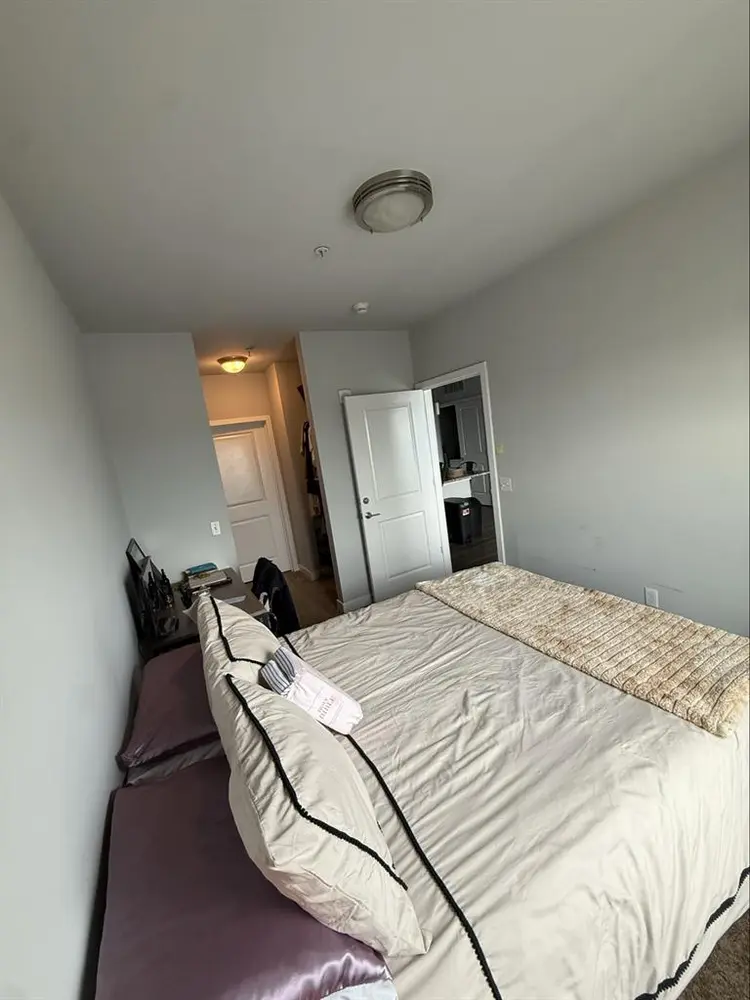 Room for Rent in Luxury Apartment
