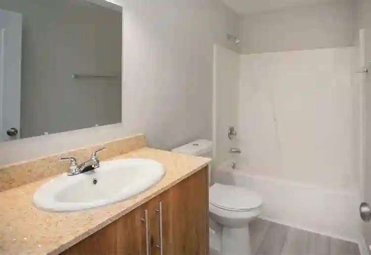 One bed one bath room available