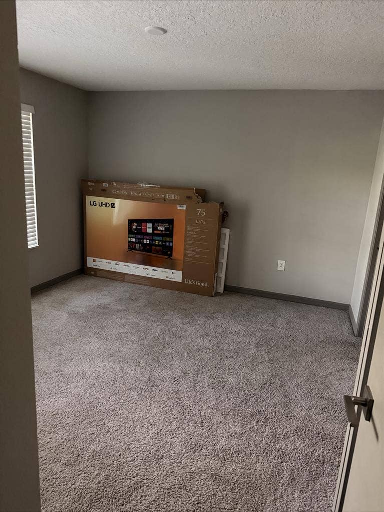 Looking for roommate! South Tampa