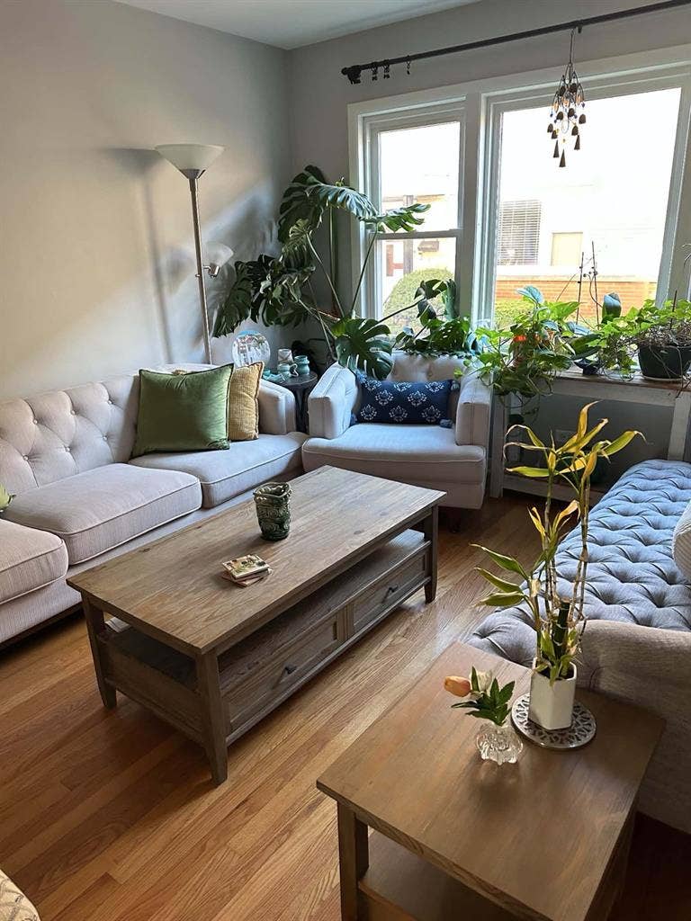 Roommate wanted