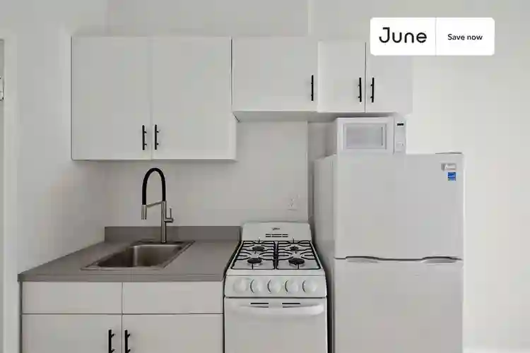1 BR in New York City