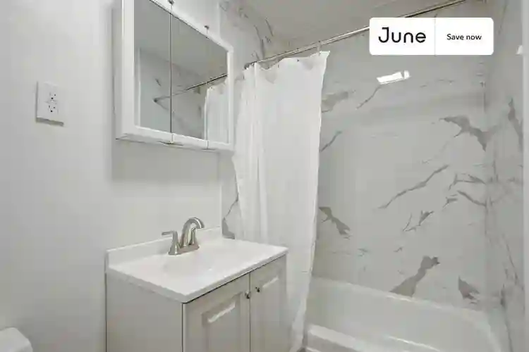 1 BR in New York City