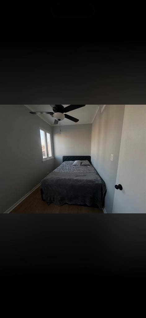 Nice room in My apartment for rent