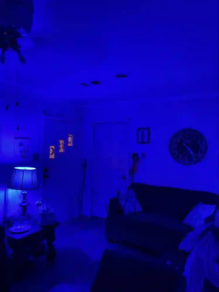 Small and cozy