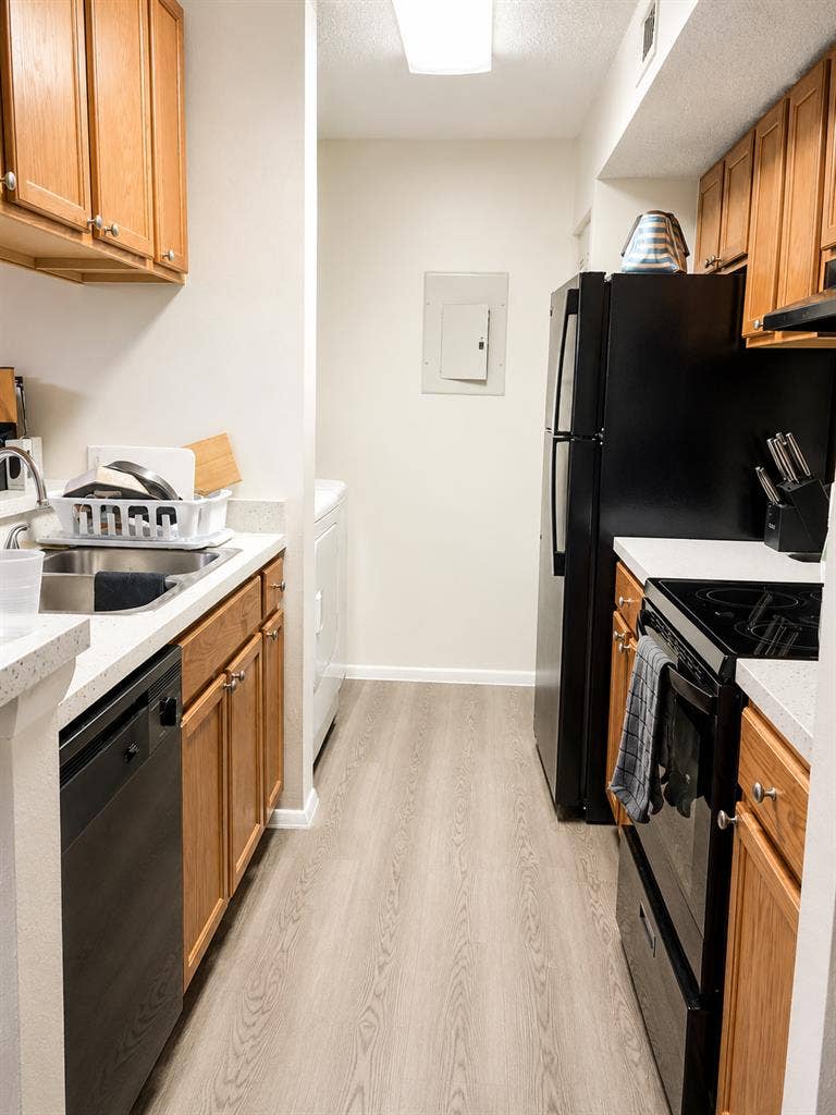 Looking for a responsible roommate