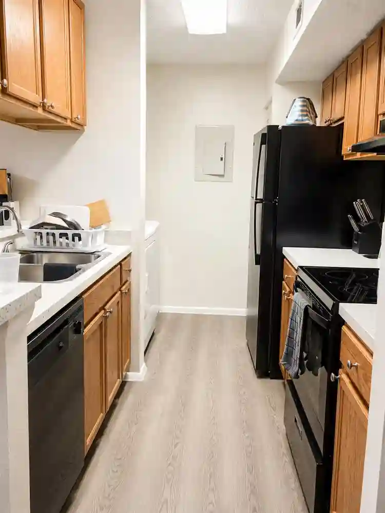 Looking for a responsible roommate
