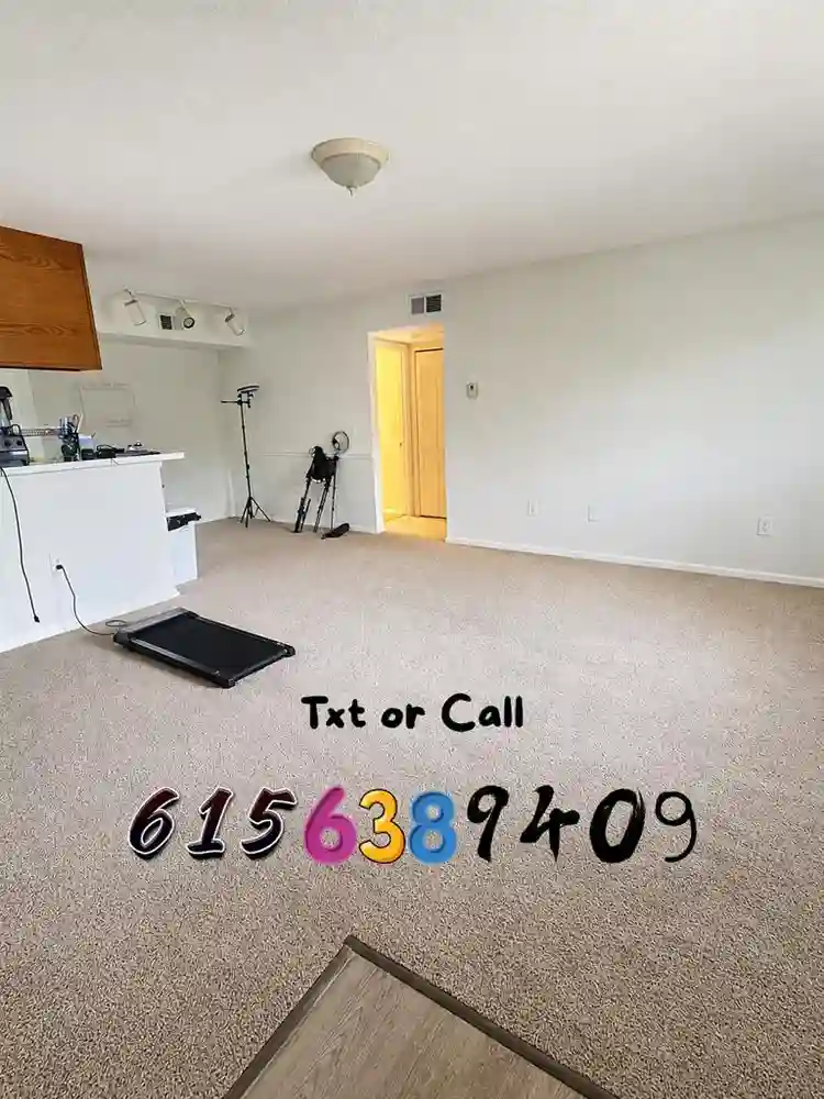 Looking for a responsible roommate