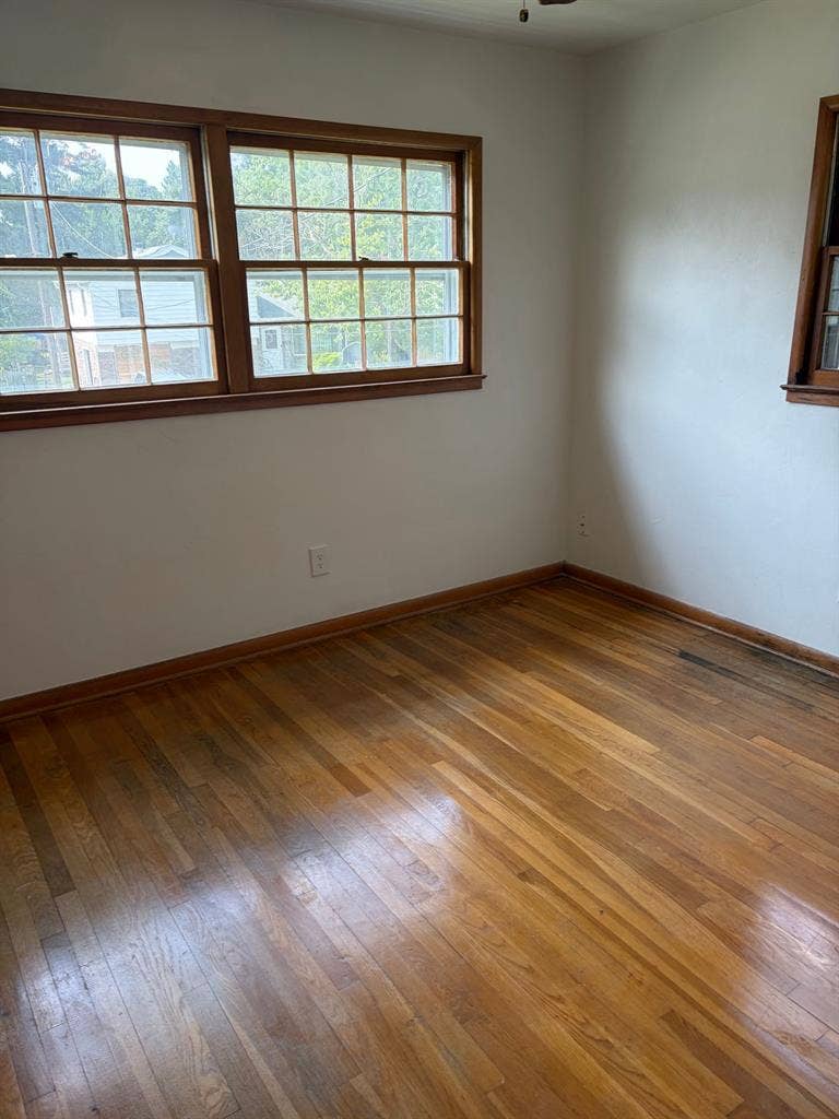 Single Room for Rent