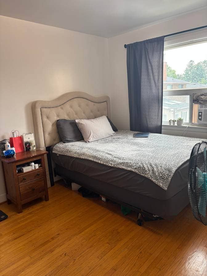 Beautiful, Large Bedroom - with dog