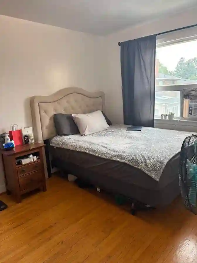 Beautiful, Large Bedroom - with dog