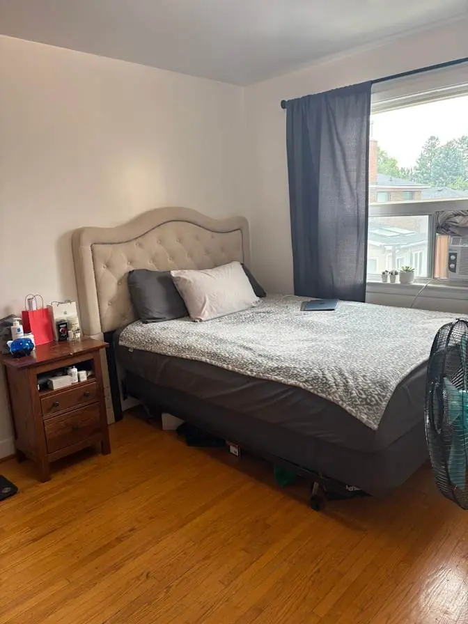 Beautiful, Large Bedroom - with dog