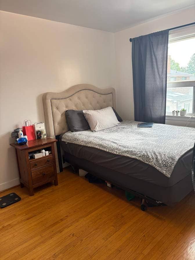 Beautiful, Large Bedroom - with dog