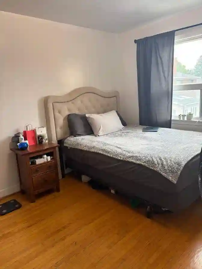 Beautiful, Large Bedroom - with dog