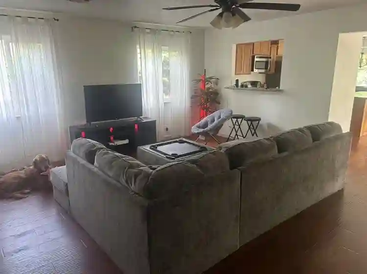 Room available for rent