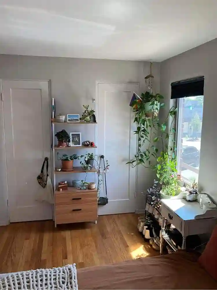 Seeking 4 new roommates!