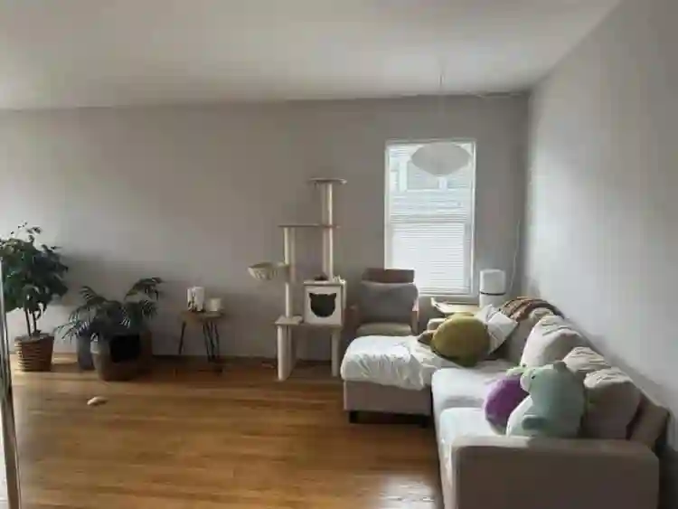 Seeking 4 new roommates!