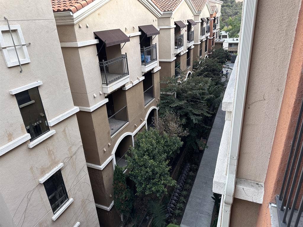 Need a male to sub-let my lease