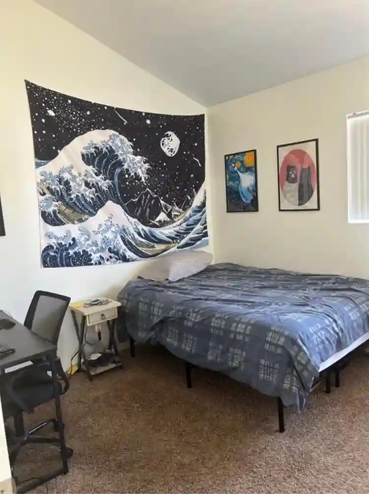 Room w/ walk-in closet + garage