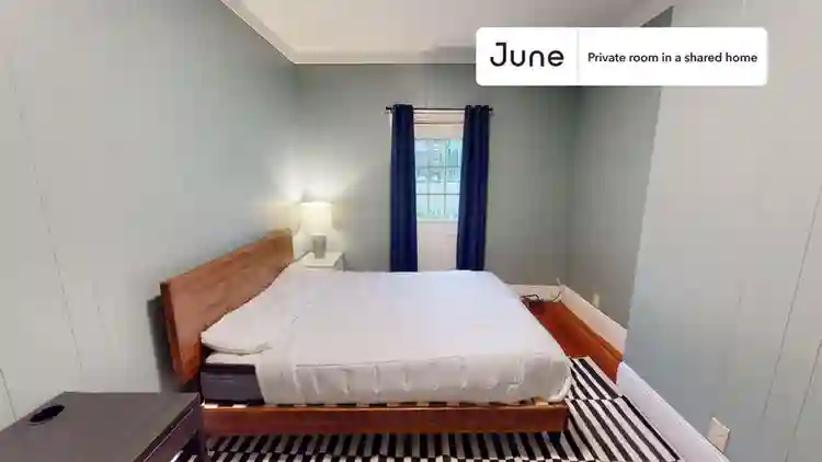 7 BR in Boston