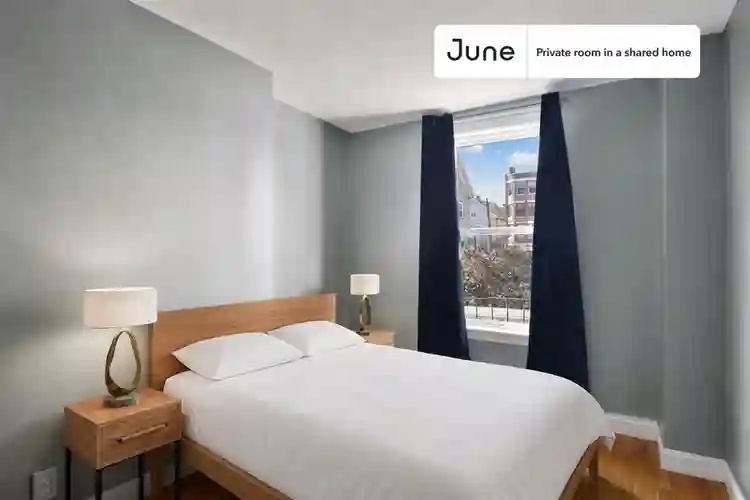 7 BR in Boston