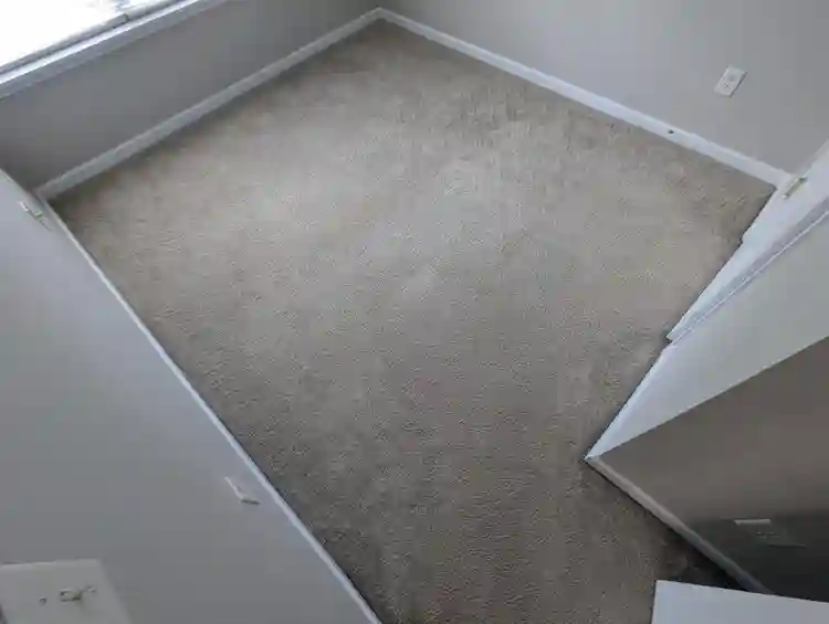 3 BR in Charlotte