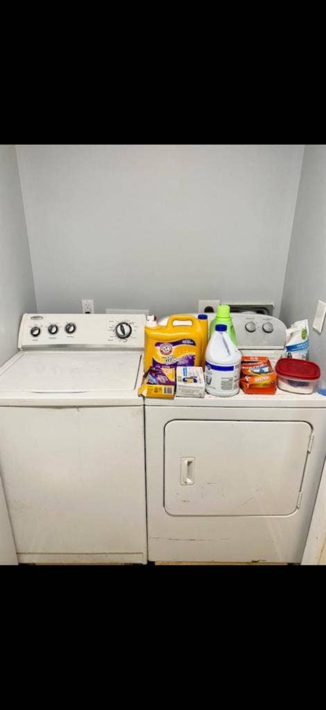 Spacious room for rent downtown