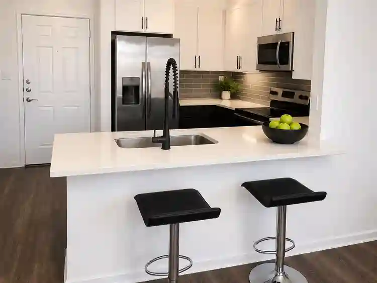 Furnished 1BR/1BA Downtown Austin