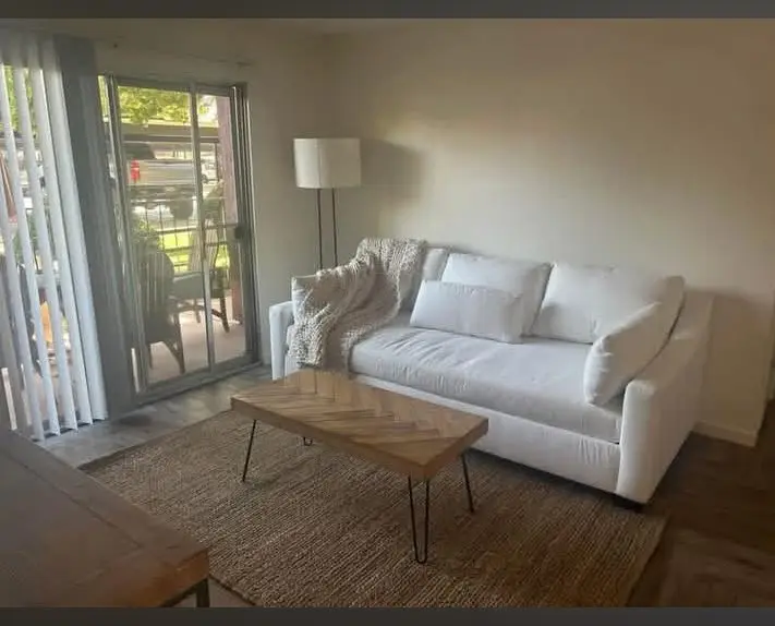 Awesome Roommate Wanted