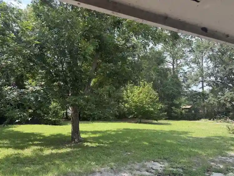 1/3 bedrooms for rent