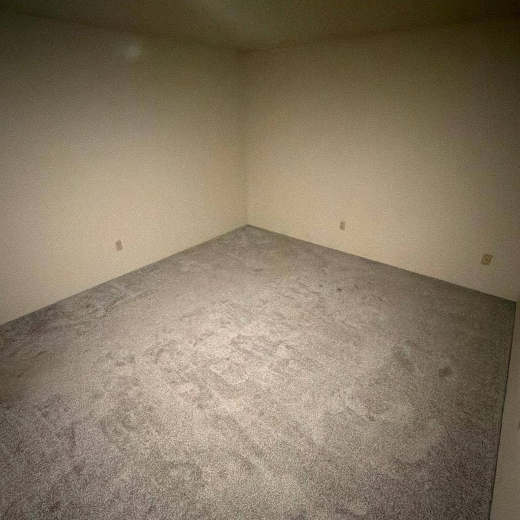 Room for 1 available September 1st