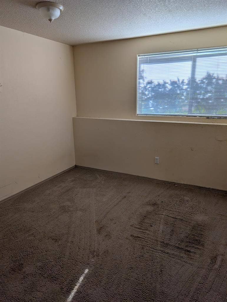 Looking for roommate ASAP
