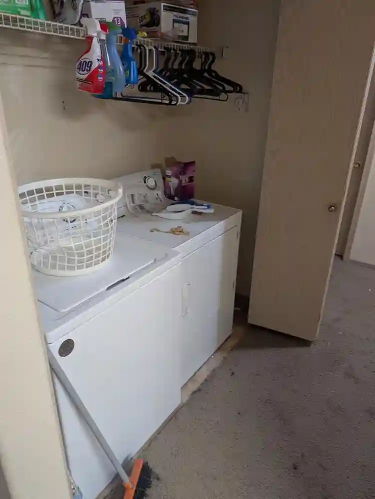 Looking for roommate ASAP