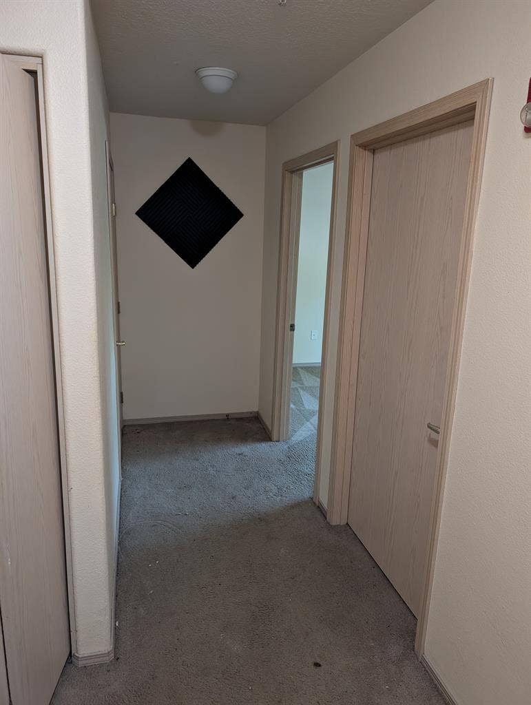 Looking for roommate ASAP