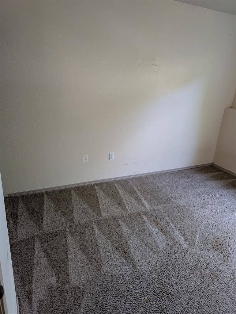 Looking for roommate ASAP
