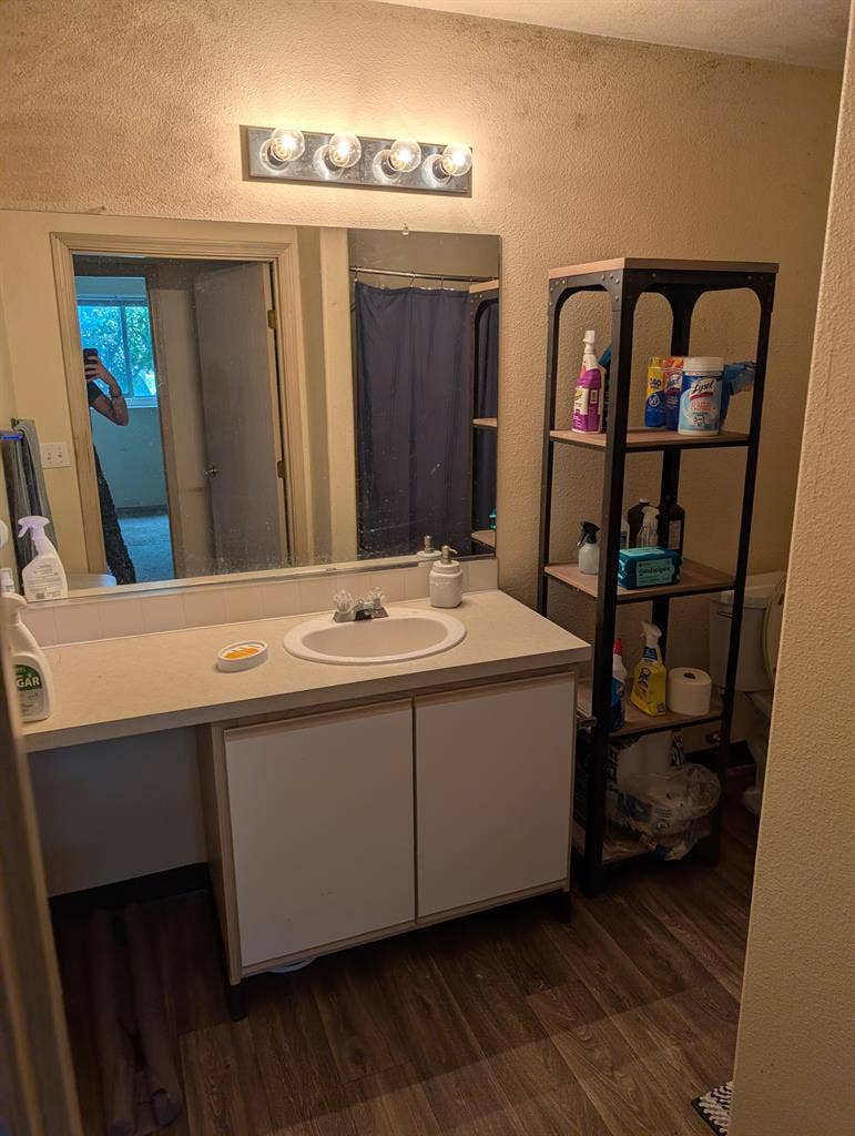 Looking for roommate ASAP