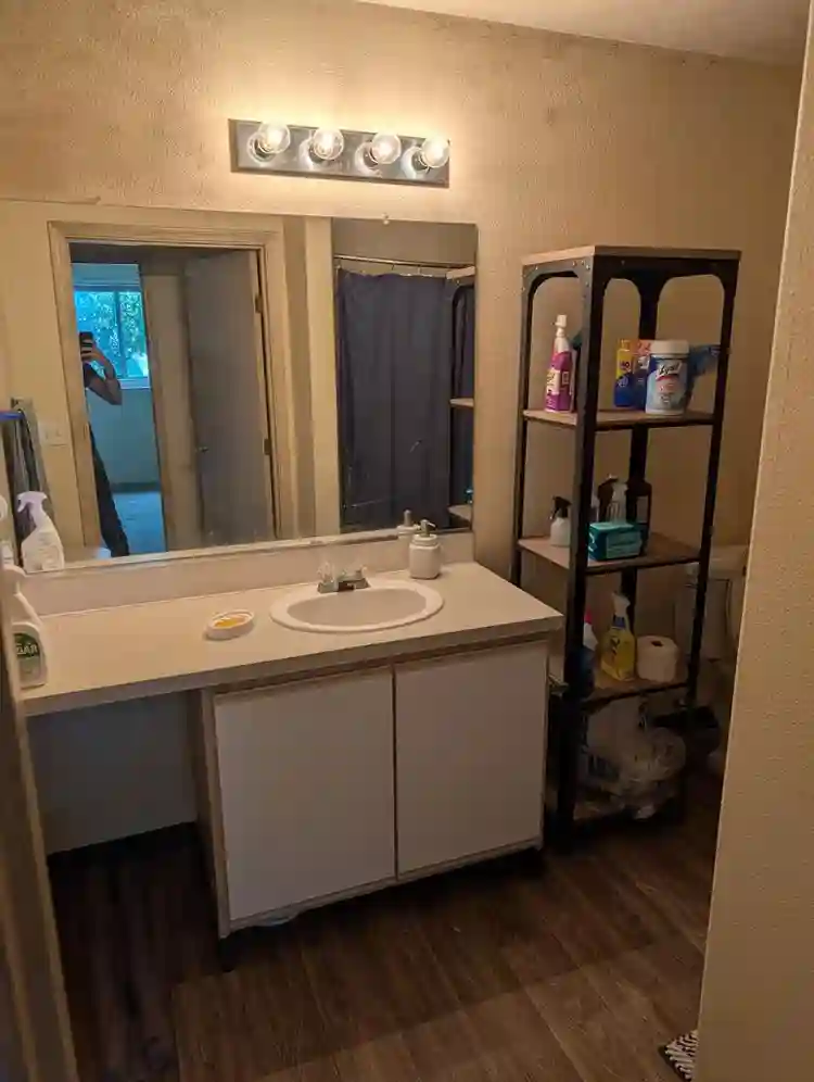 Looking for roommate ASAP