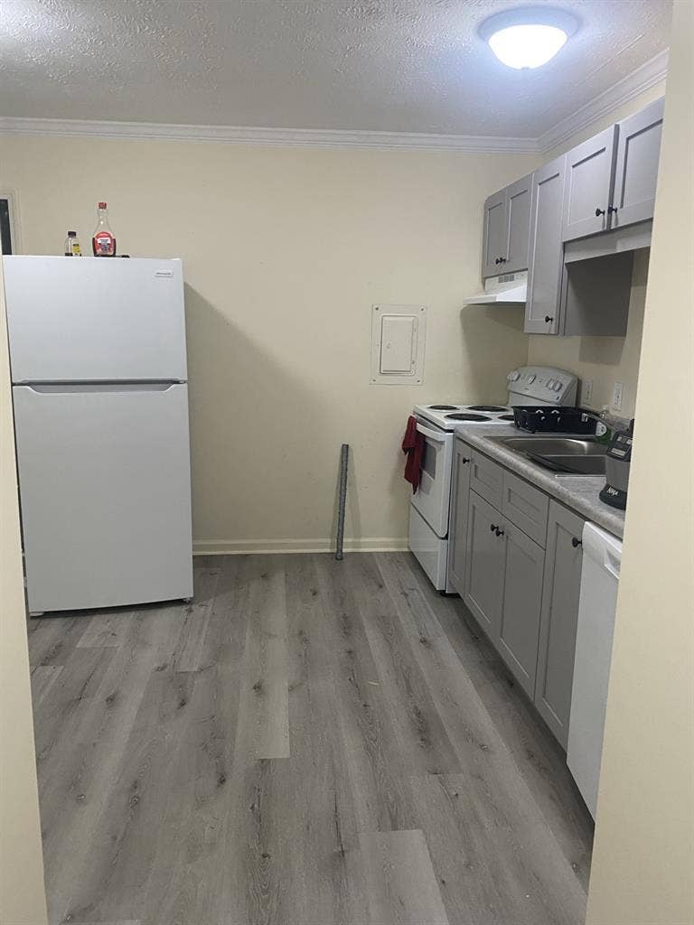 Looking for roommate