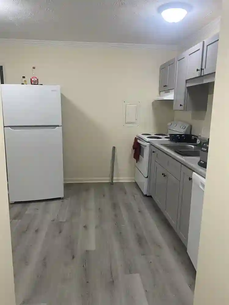 Looking for roommate