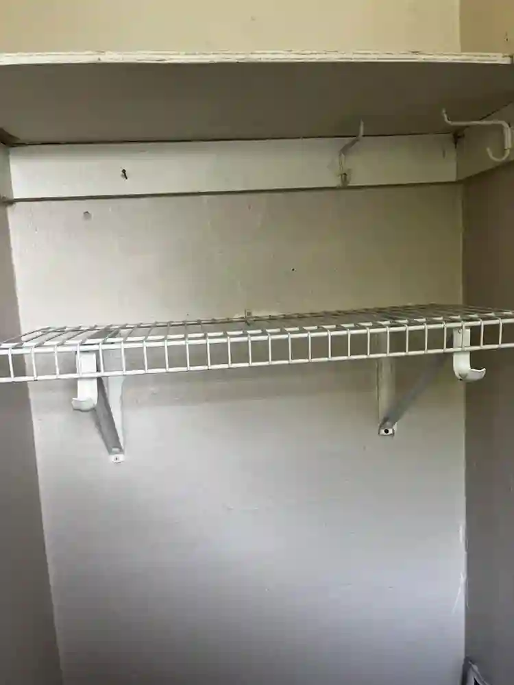 Looking for a roommate
