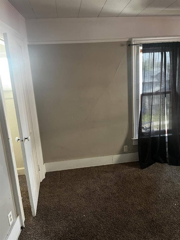 Looking for a roommate