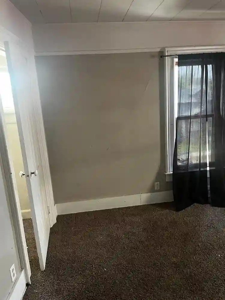 Looking for a roommate