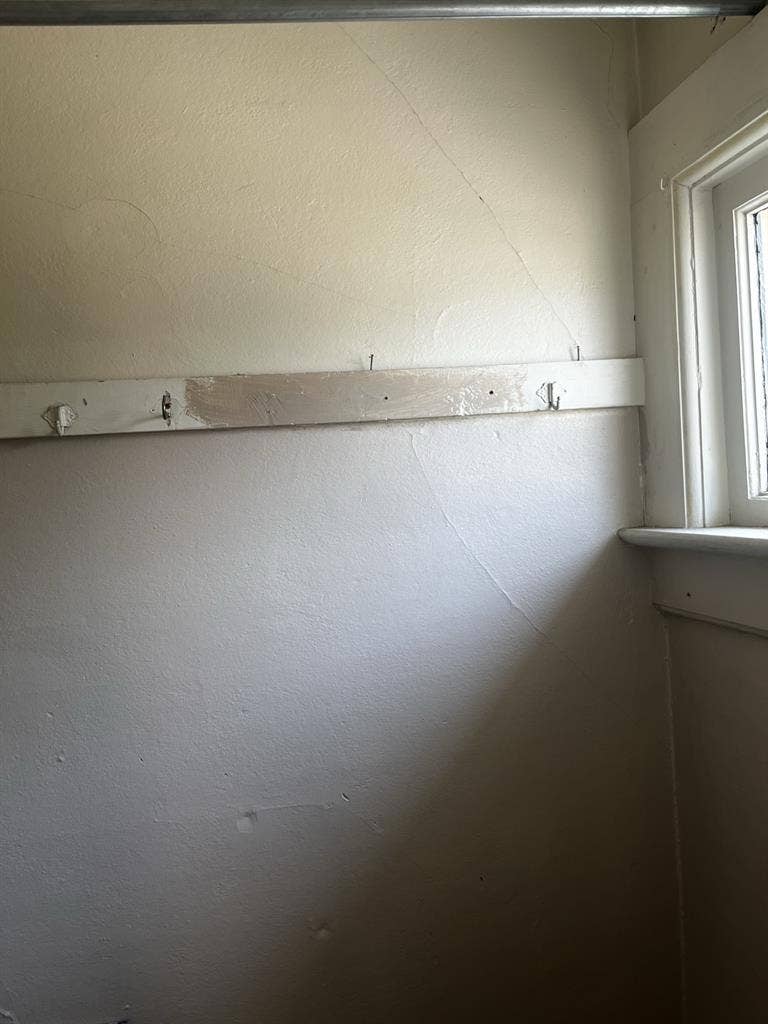 Looking for a roommate